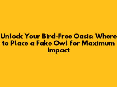**Unlock Your Bird-Free Oasis: Where to Place a Fake Owl for Maximum Impact**