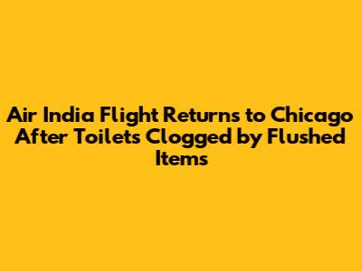 Air India Flight Returns to Chicago After Toilets Clogged by Flushed Items