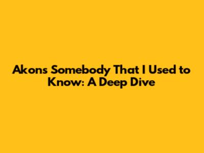 Akon's 'Somebody That I Used to Know': A Deep Dive
