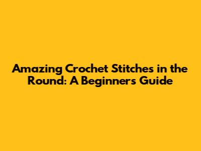 Amazing Crochet Stitches in the Round: A Beginner's Guide