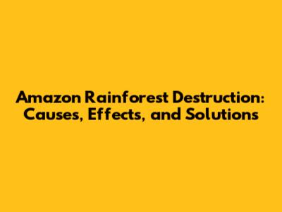 Amazon Rainforest Destruction: Causes, Effects, and Solutions
