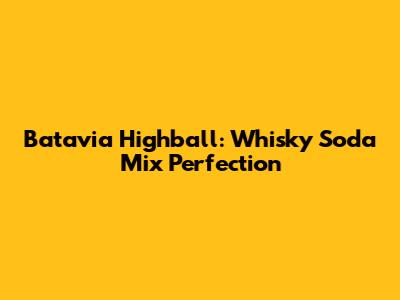 Batavia Highball: Whisky Soda Mix Perfection