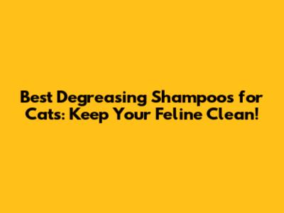 Best Degreasing Shampoos for Cats: Keep Your Feline Clean!
