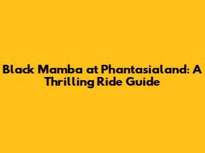 Black Mamba at Phantasialand: A Thrilling Ride Guide