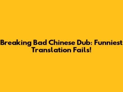 Breaking Bad Chinese Dub: Funniest Translation Fails!
