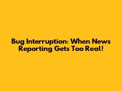 Bug Interruption: When News Reporting Gets Too Real!