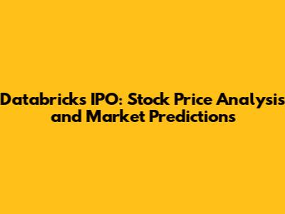 Databricks IPO: Stock Price Analysis and Market Predictions