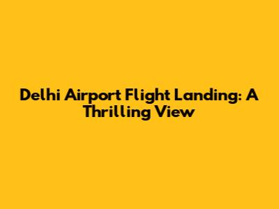 Delhi Airport Flight Landing: A Thrilling View