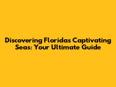 Discovering Florida's Captivating Seas: Your Ultimate Guide