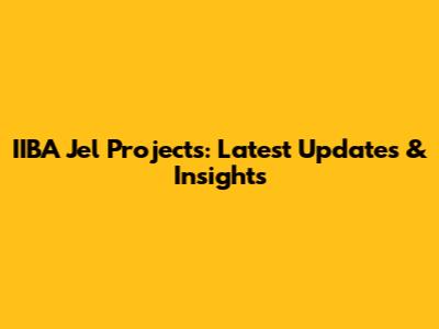 IIBA Jel Projects: Latest Updates & Insights