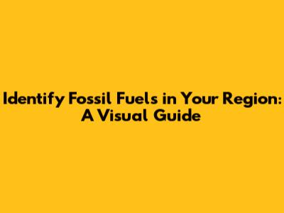 Identify Fossil Fuels in Your Region: A Visual Guide