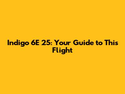 Indigo 6E 25: Your Guide to This Flight