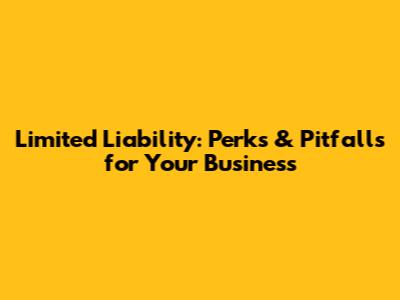 Limited Liability: Perks & Pitfalls for Your Business