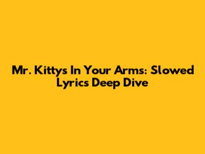 Mr. Kitty's 'In Your Arms': Slowed Lyrics Deep Dive