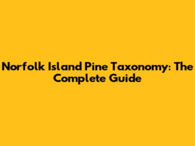 Norfolk Island Pine Taxonomy: The Complete Guide