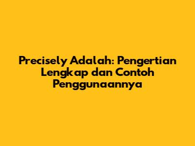 Precisely Adalah: Pengertian Lengkap dan Contoh Penggunaannya