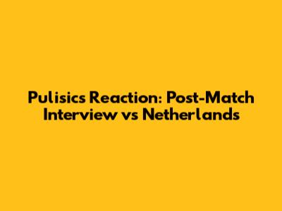 Pulisic's Reaction: Post-Match Interview vs Netherlands