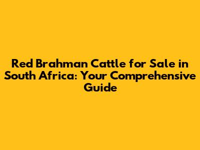 Red Brahman Cattle for Sale in South Africa: Your Comprehensive Guide
