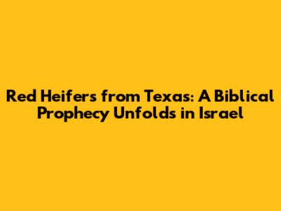 Red Heifers from Texas: A Biblical Prophecy Unfolds in Israel