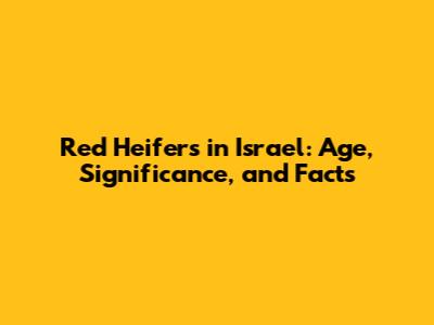 Red Heifers in Israel: Age, Significance, and Facts