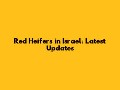 Red Heifers in Israel: Latest Updates