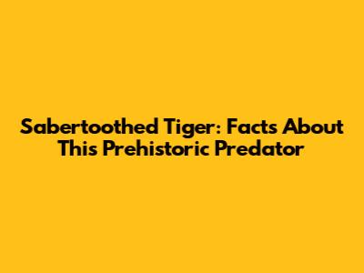 Sabertoothed Tiger: Facts About This Prehistoric Predator