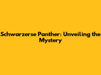 Schwarzerse Panther: Unveiling the Mystery