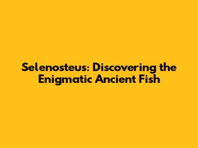 Selenosteus: Discovering the Enigmatic Ancient Fish