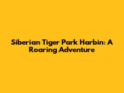 Siberian Tiger Park Harbin: A Roaring Adventure