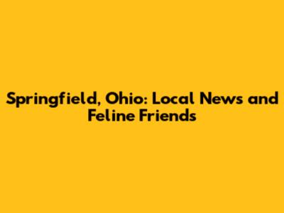 Springfield, Ohio: Local News and Feline Friends
