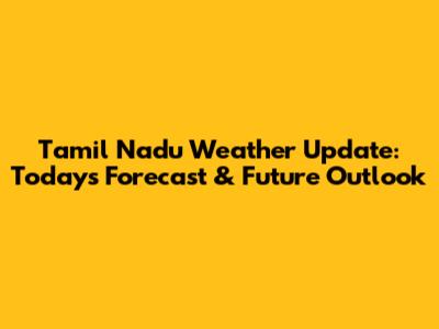 Tamil Nadu Weather Update: Today's Forecast & Future Outlook