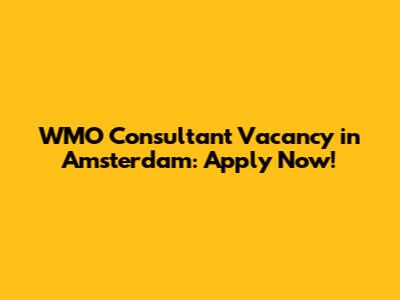 WMO Consultant Vacancy in Amsterdam: Apply Now!