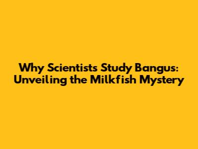 Why Scientists Study Bangus: Unveiling the Milkfish Mystery