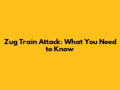 Zug Train Attack: What You Need to Know
