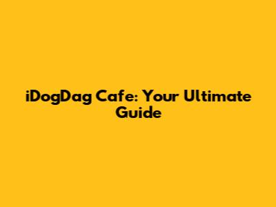 iDogDag Cafe: Your Ultimate Guide